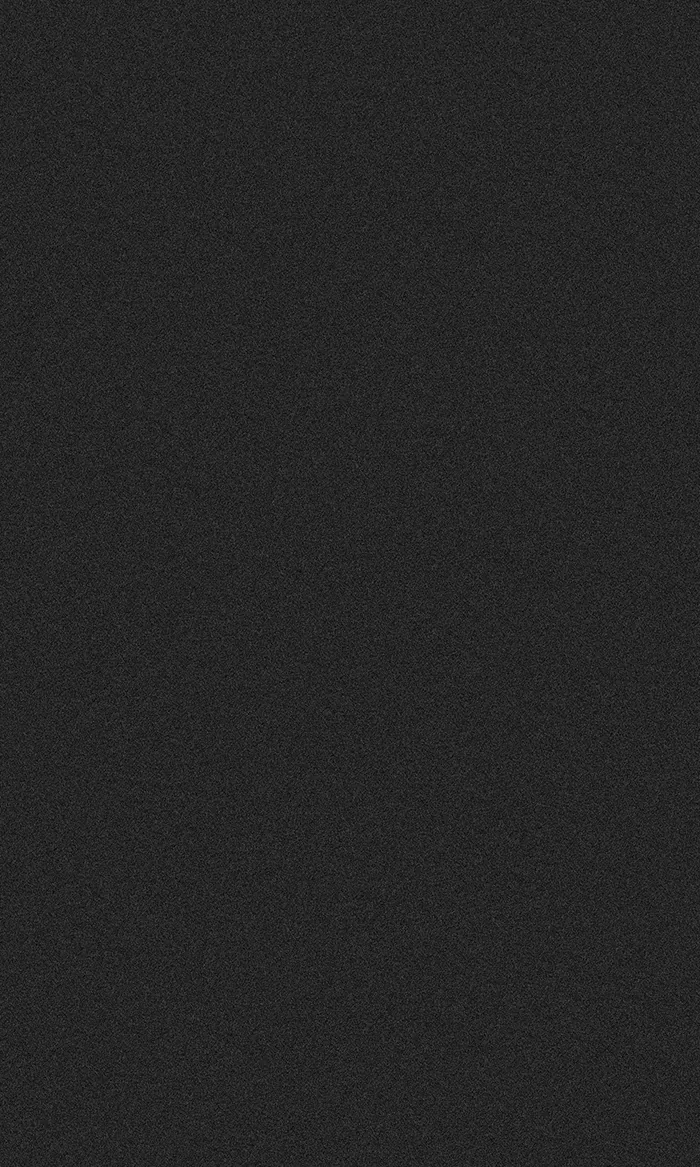 Velvet Black swatch