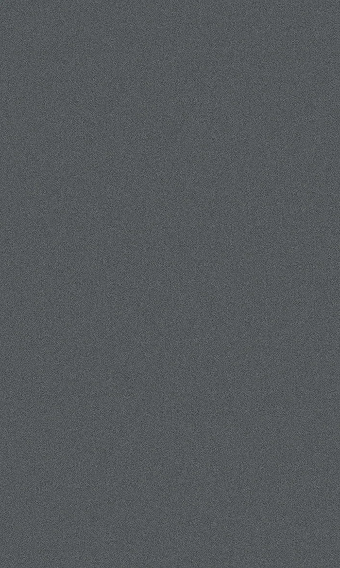 Velvet Graphite Anti-Fingerprint swatch