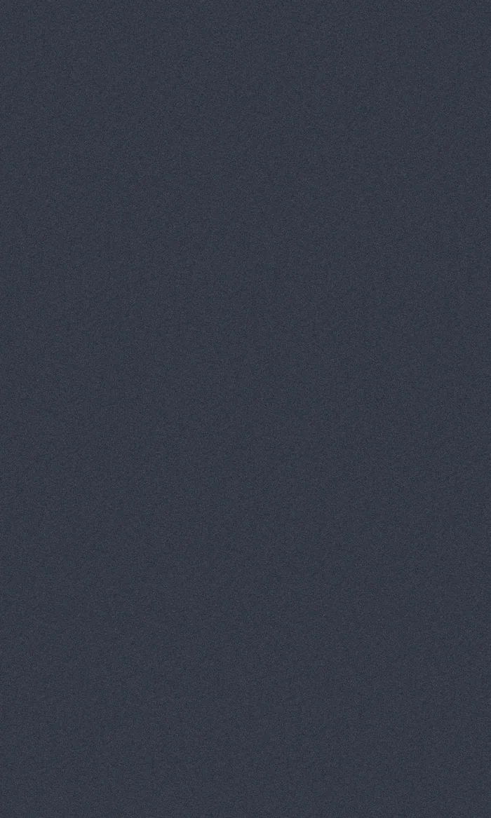 Velvet Navy Blue swatch