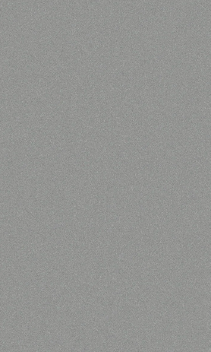 Velvet Dust Gray Anti-Fingerprint swatch