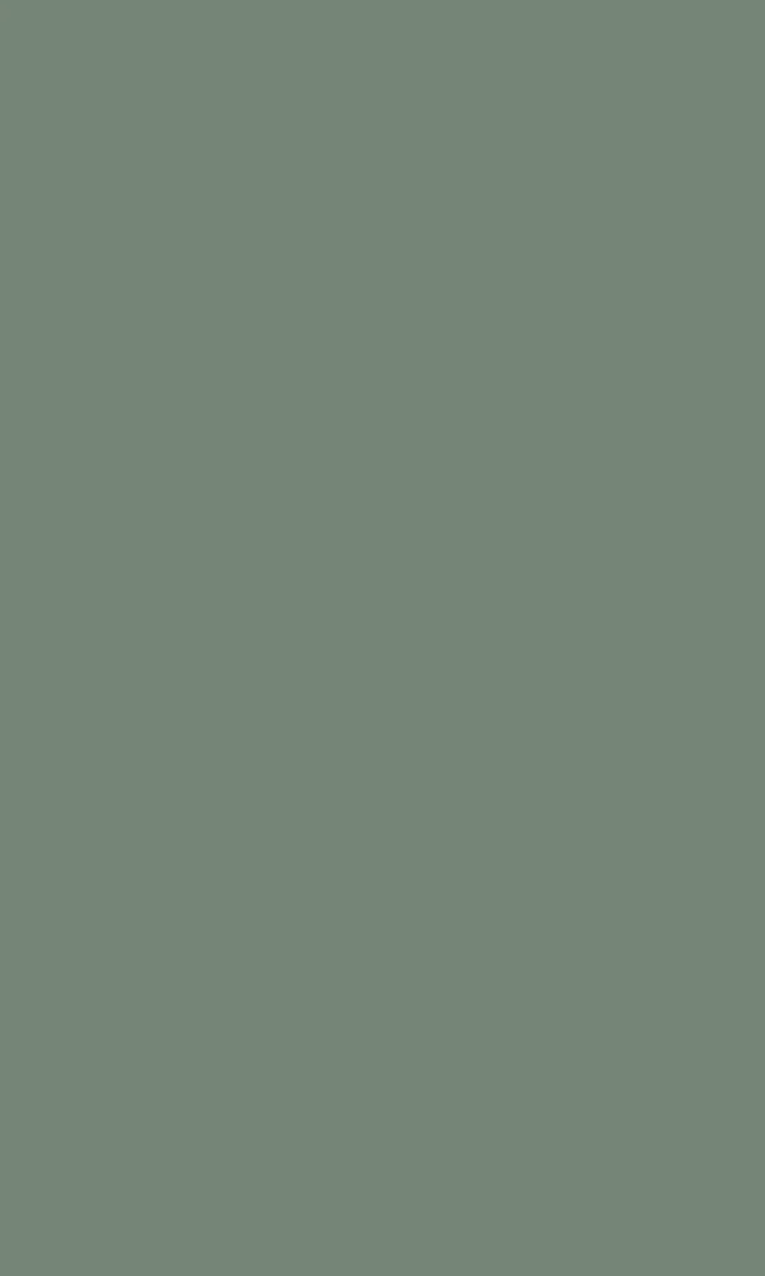 Velvet Green Anti-Fingerprint swatch