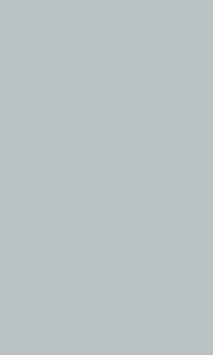 High Gloss Grey swatch