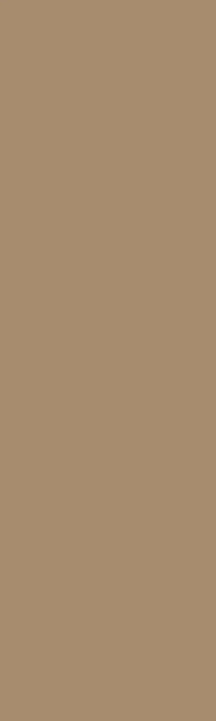 Platinum Brown Anti-Fingerprint swatch
