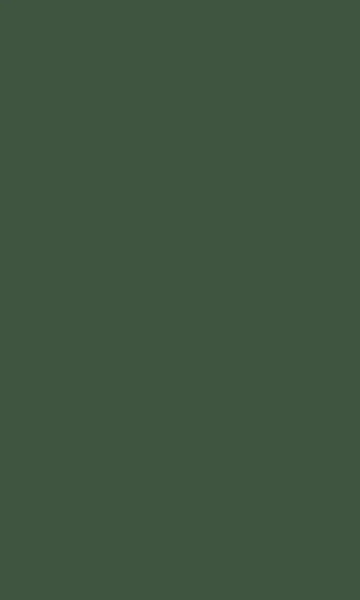 Platinum Dark Green Anti-Fingerprint swatch