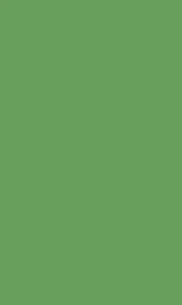 Platinum Light Green Anti-Fingerprint swatch