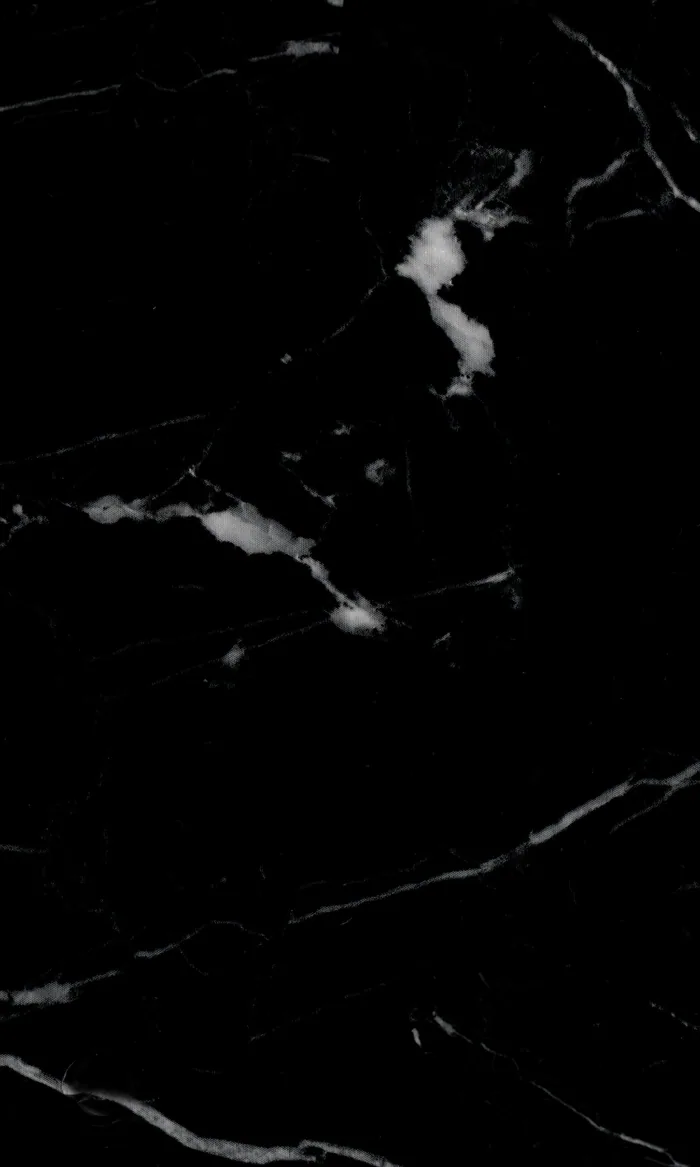 High Gloss Black Marble swatch